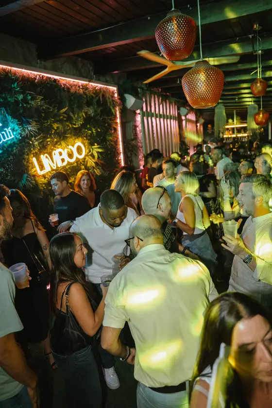 Puro Limboo · Closing 95