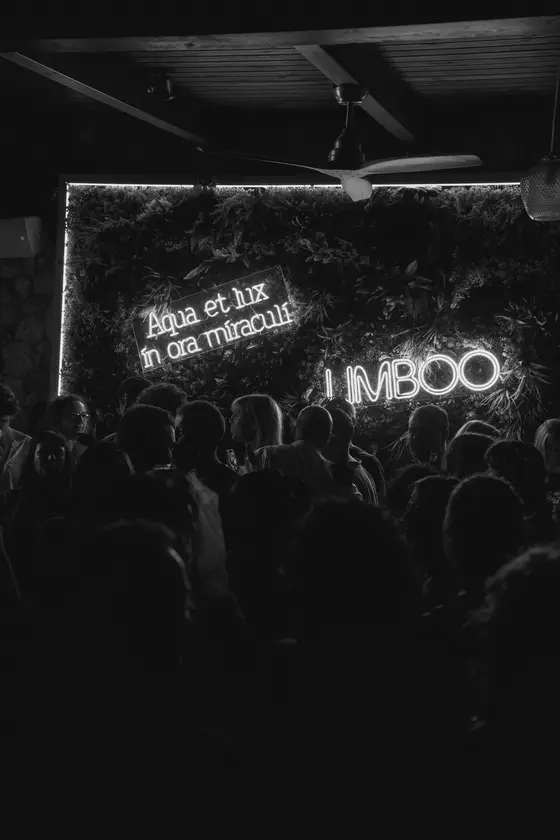 Puro Limboo · Closing 225